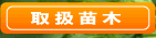 戵c