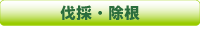 伐採・除根