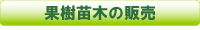 果樹苗木の販売