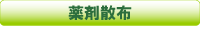 薬剤散布