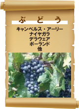 Ԃǂ