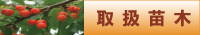 戵c